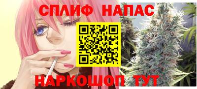 гашик Ливны