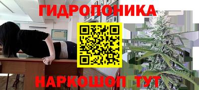 гидропоника Лесосибирск