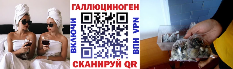 Галлюциногенные грибы Cubensis  Кинель 