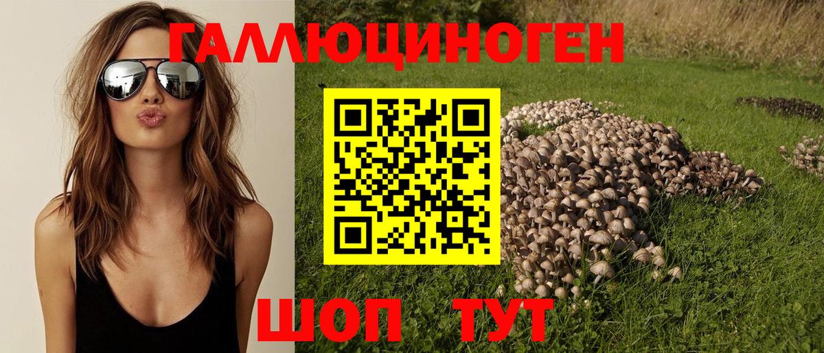 Псилоцибиновые грибы Cubensis  Вход с VPN  Галлюциногенные грибы Psilocybe  магазин  наркотиков  Кинель 